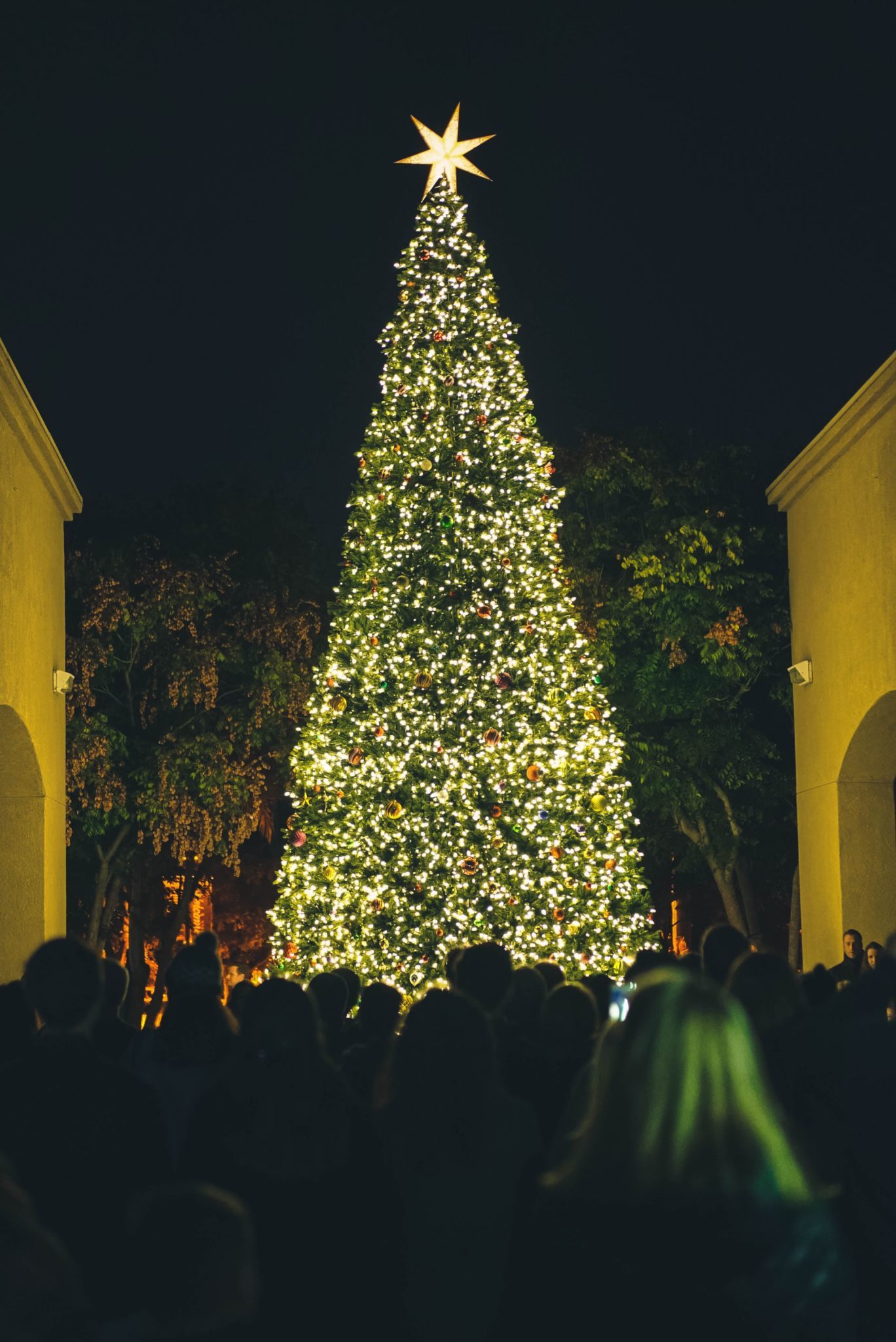Christmas Lessons and Carols