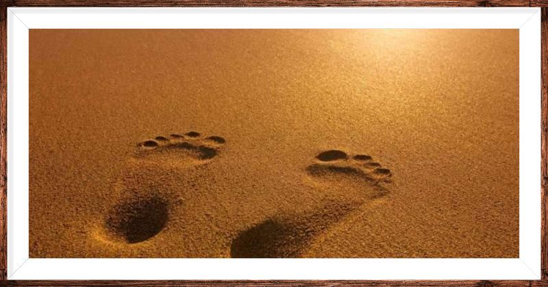 Cathedral Congregations Retreat “Walking with Jesus”