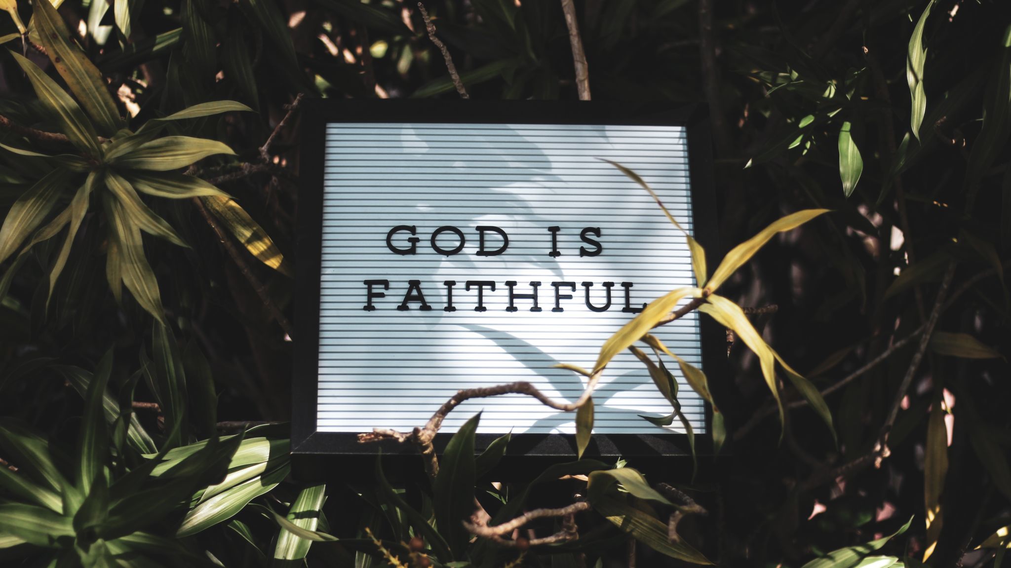 2020 Lenten Series - Week 3: Exercising Graceful Activities